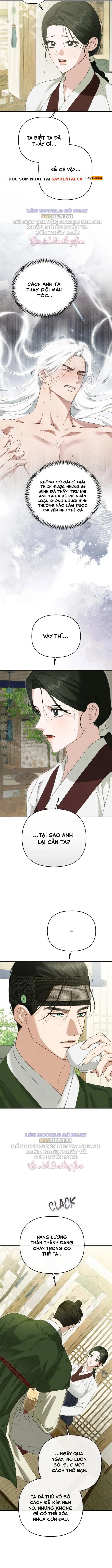Cạm Bẫy Ngọt Ngào 