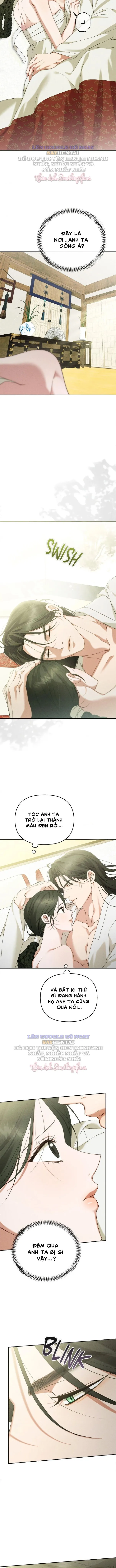 Cạm Bẫy Ngọt Ngào 