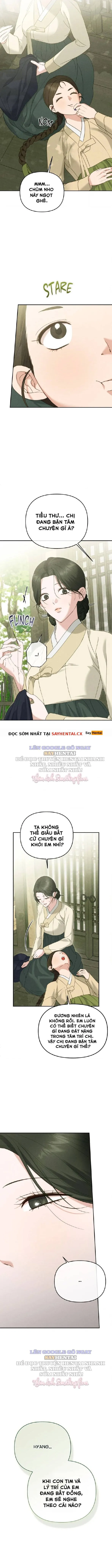 Cạm Bẫy Ngọt Ngào 