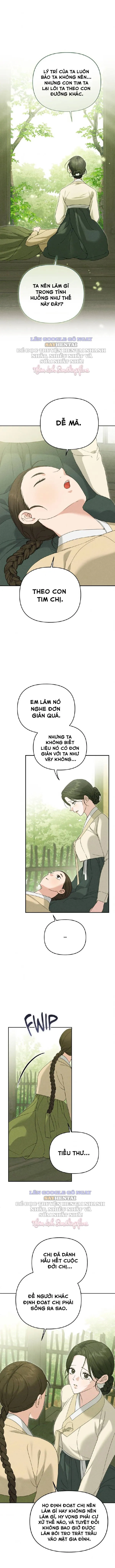 Cạm Bẫy Ngọt Ngào 