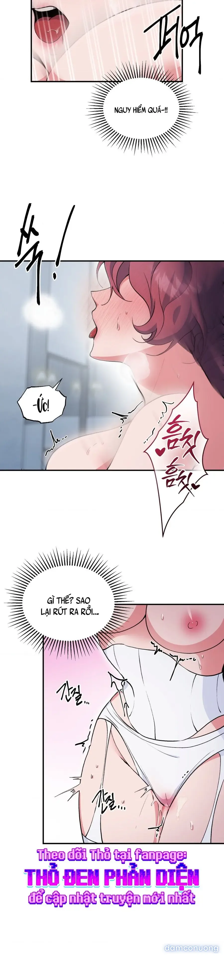 Tuyển Tập XX Công Cộng 