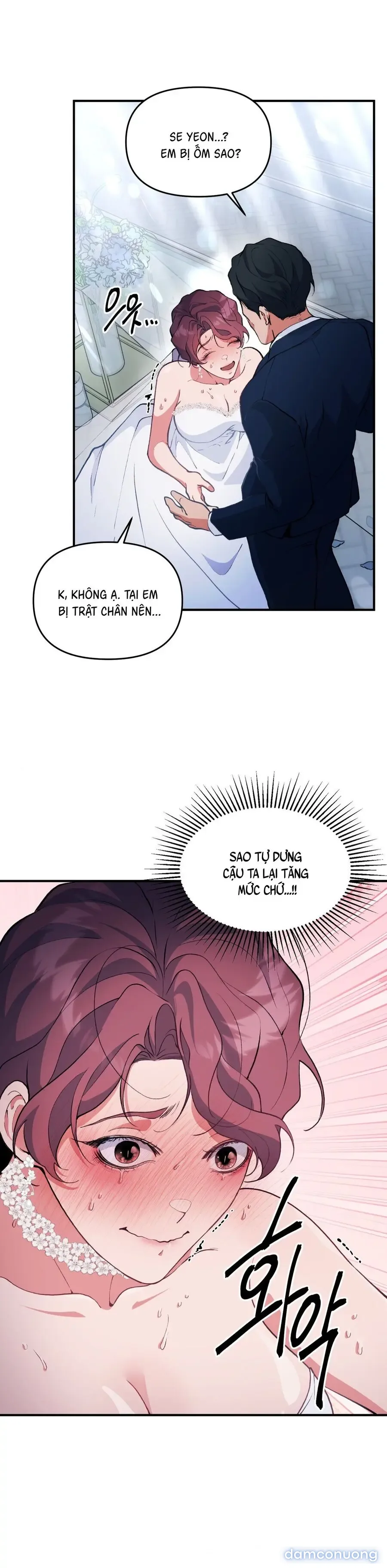 Tuyển Tập XX Công Cộng 