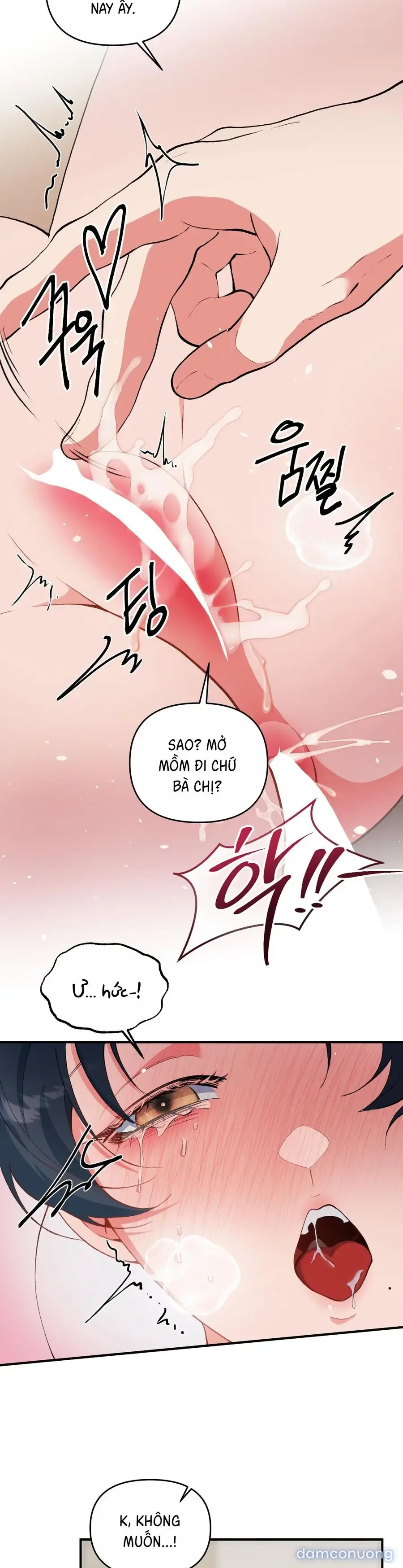 Tuyển Tập XX Công Cộng 