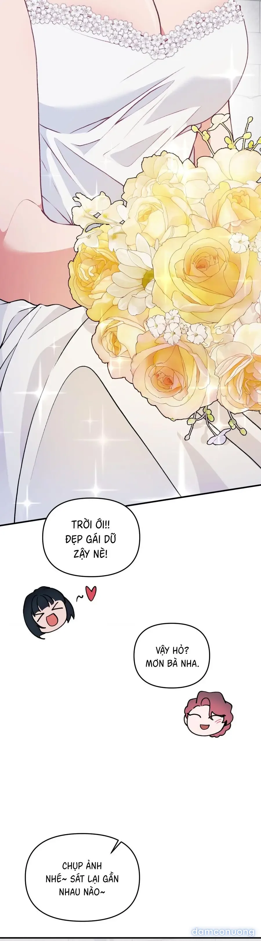 Tuyển Tập XX Công Cộng 
