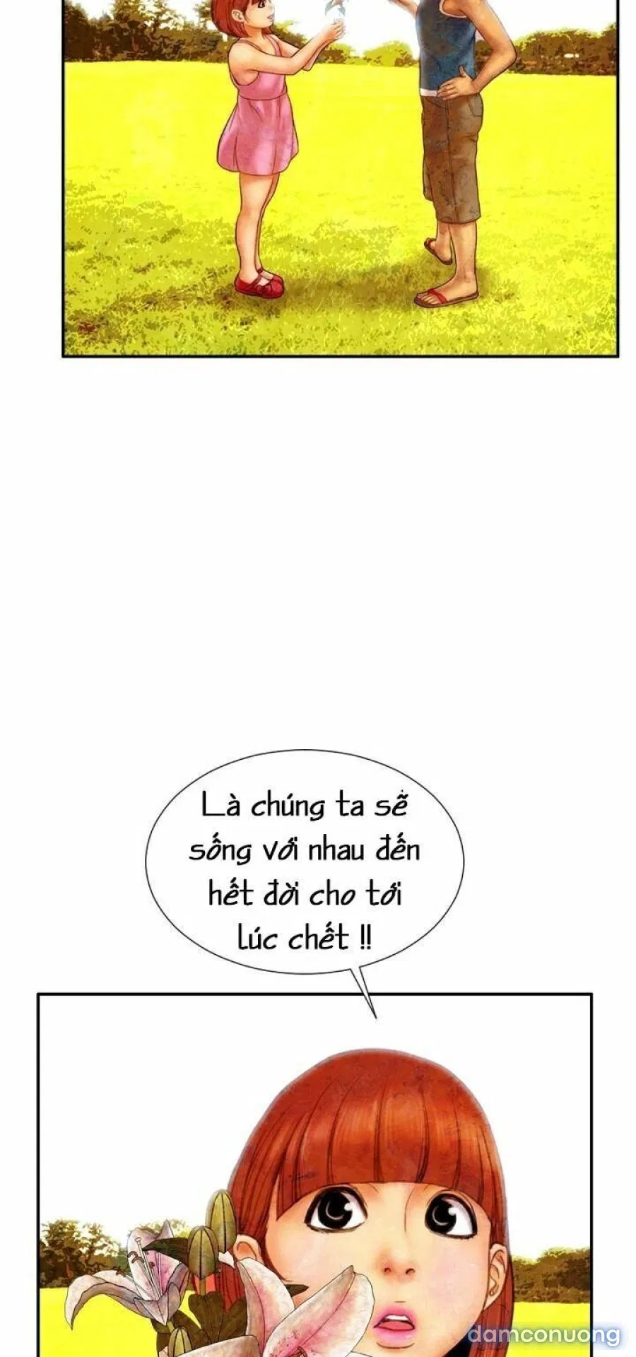 NHỮNG CÔ VỢ CỦA TÔI 