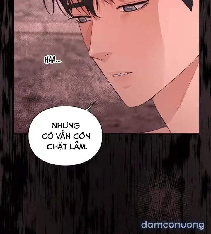 Tu Nữ Tình Dục 