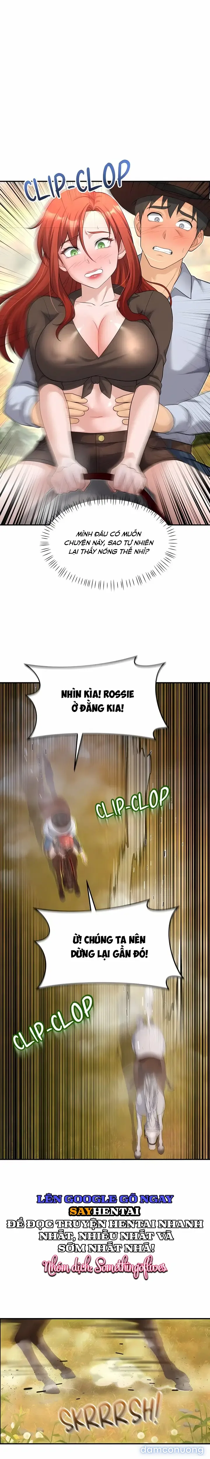 Đá Dục Vọng (KhôngChe) 