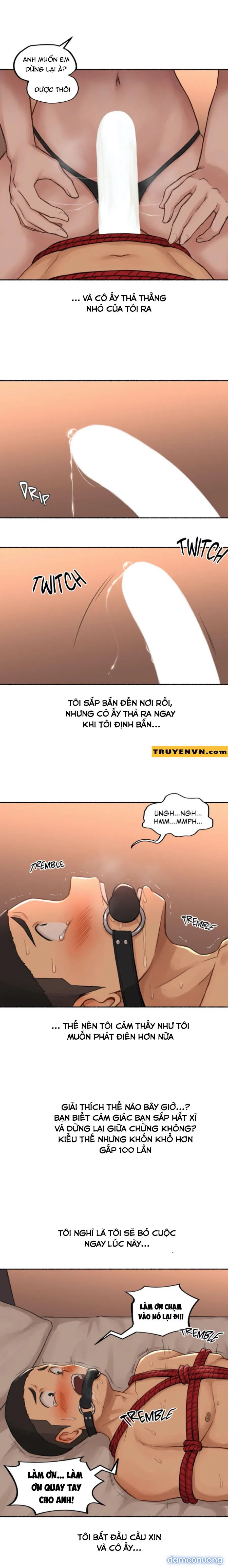 Bạn đã chịch bao giờ chưa (sex only) 