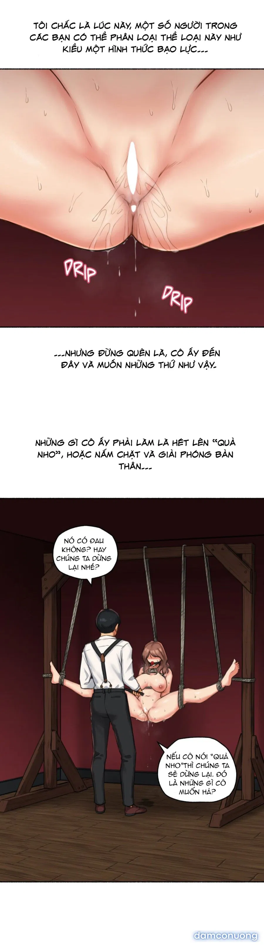 Bạn đã chịch bao giờ chưa (sex only) 