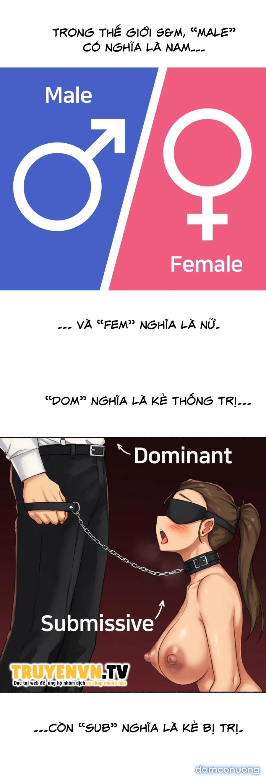 Bạn đã chịch bao giờ chưa (sex only) 