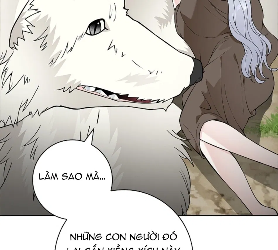 [18+] Cánh Hoa Ướt Át Của Thánh Nữ 