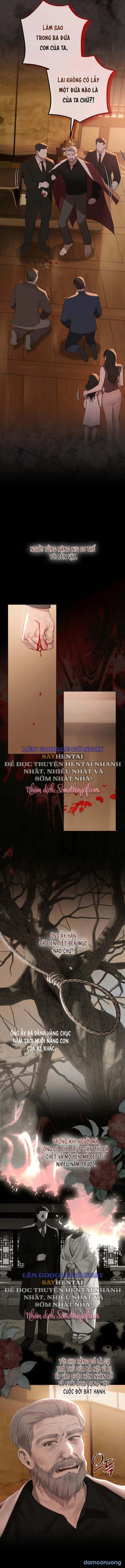 Tình Và Tiền 