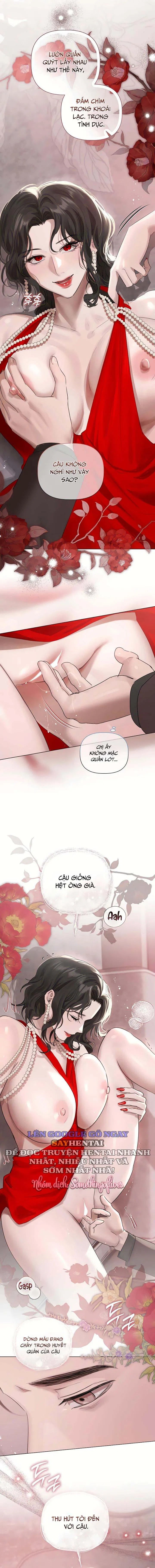 Tình Và Tiền 