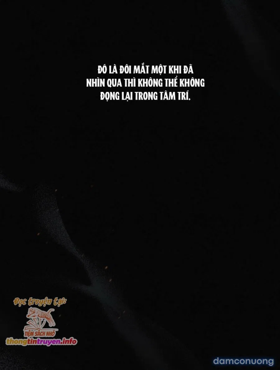 [18+] ĐÊM HỖN LOẠN 
