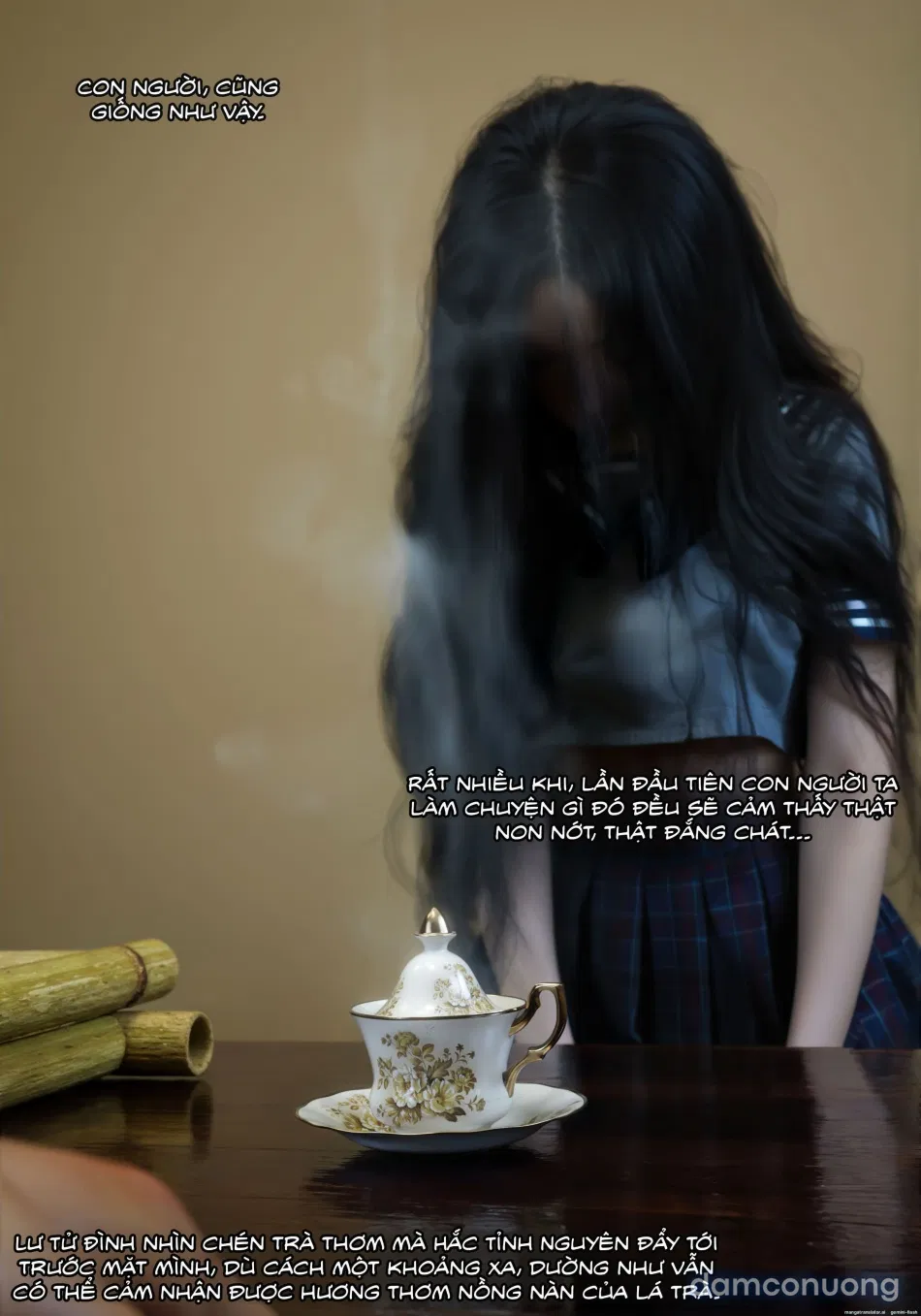 Mật Vụ Phượng Hoàng 