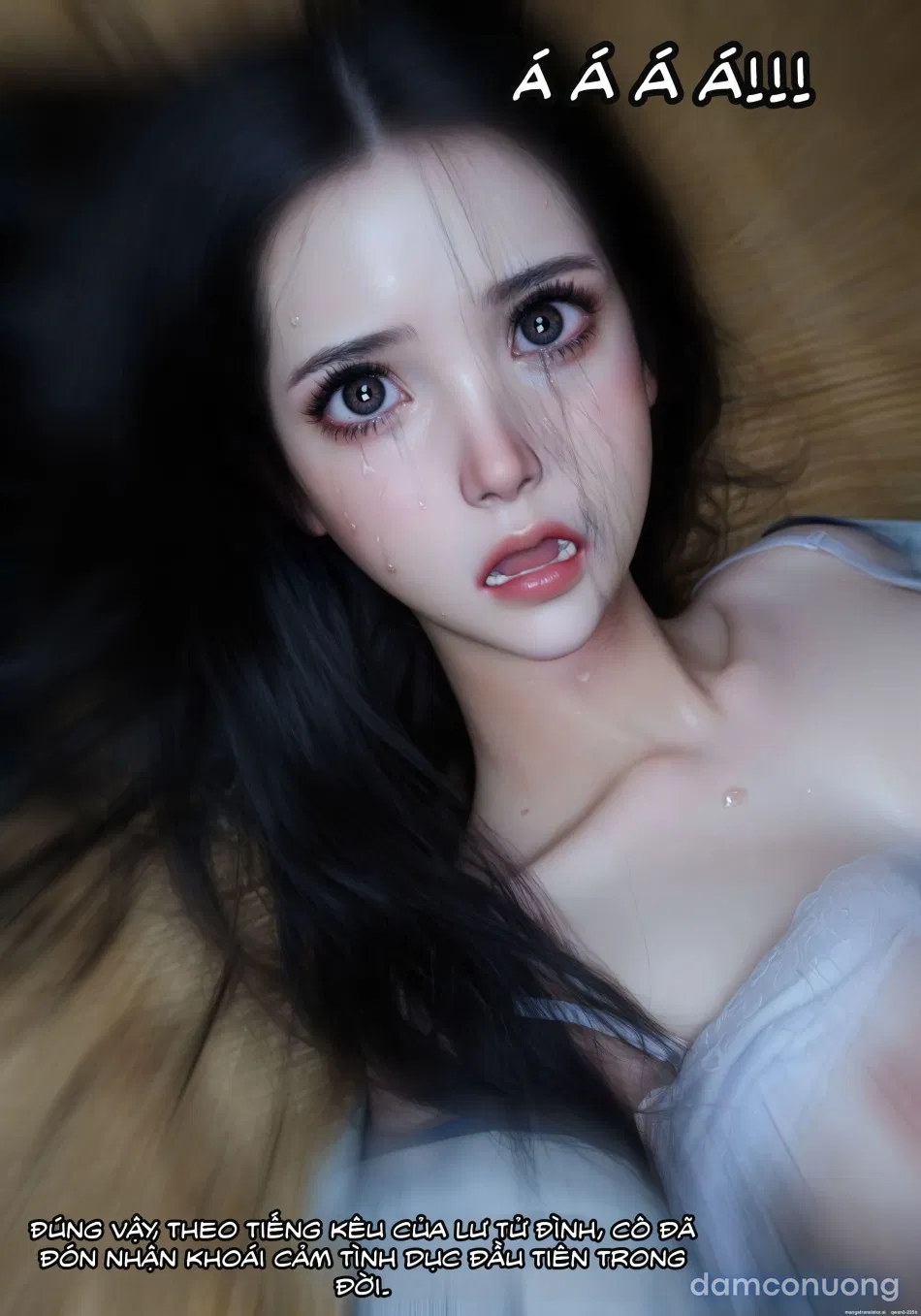 Mật Vụ Phượng Hoàng 