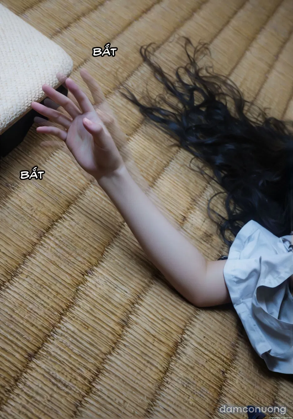 Mật Vụ Phượng Hoàng 