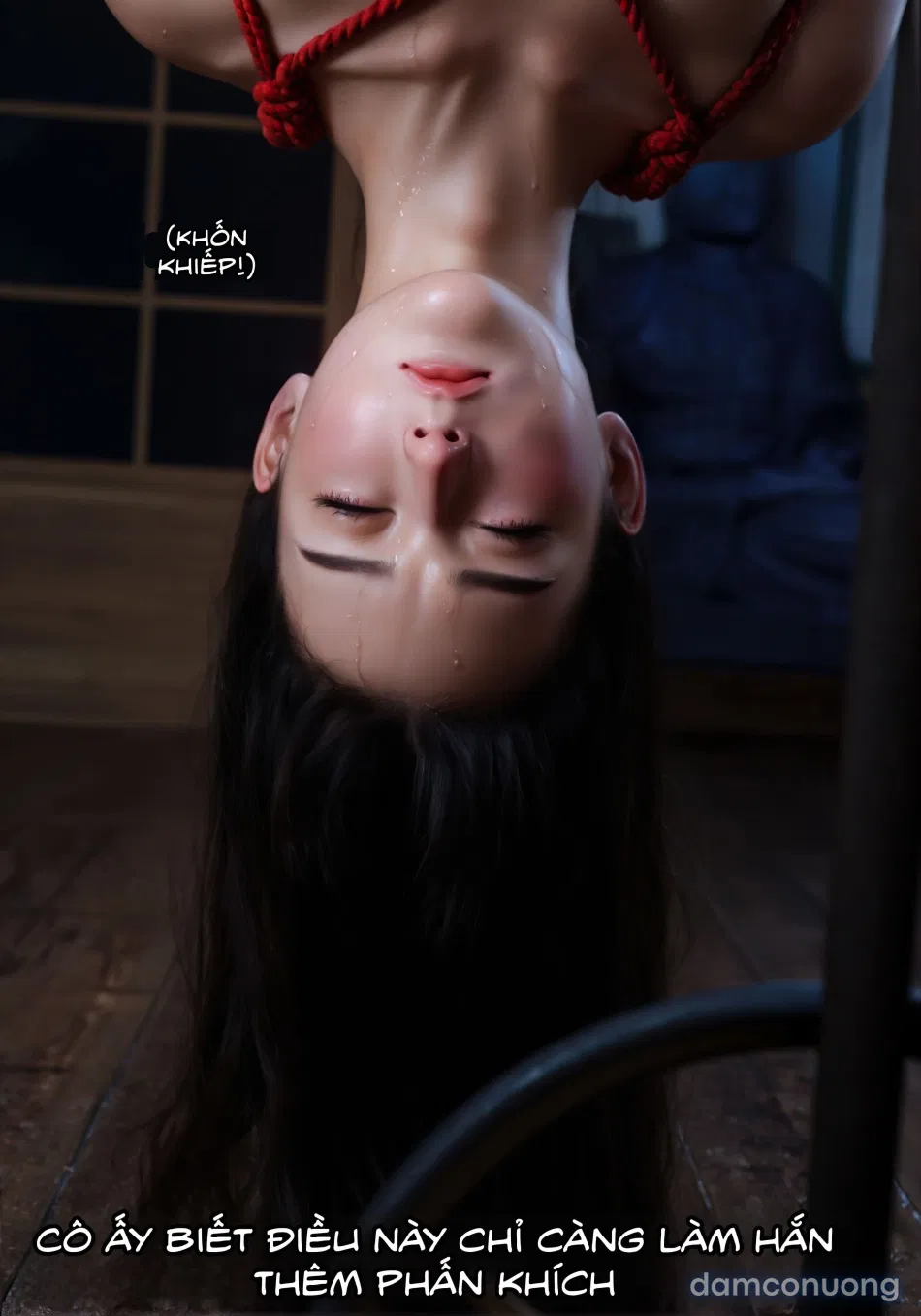 Mật Vụ Phượng Hoàng 