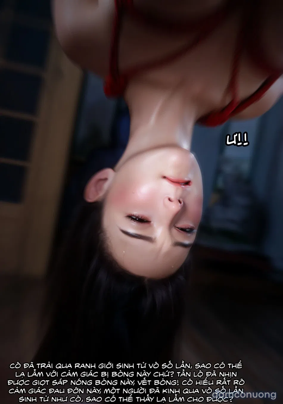 Mật Vụ Phượng Hoàng 