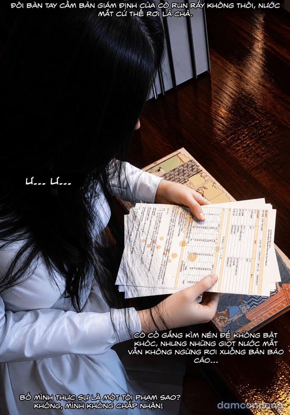 Mật Vụ Phượng Hoàng 