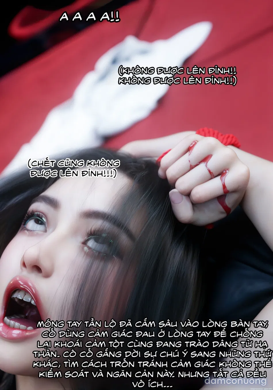 Mật Vụ Phượng Hoàng 