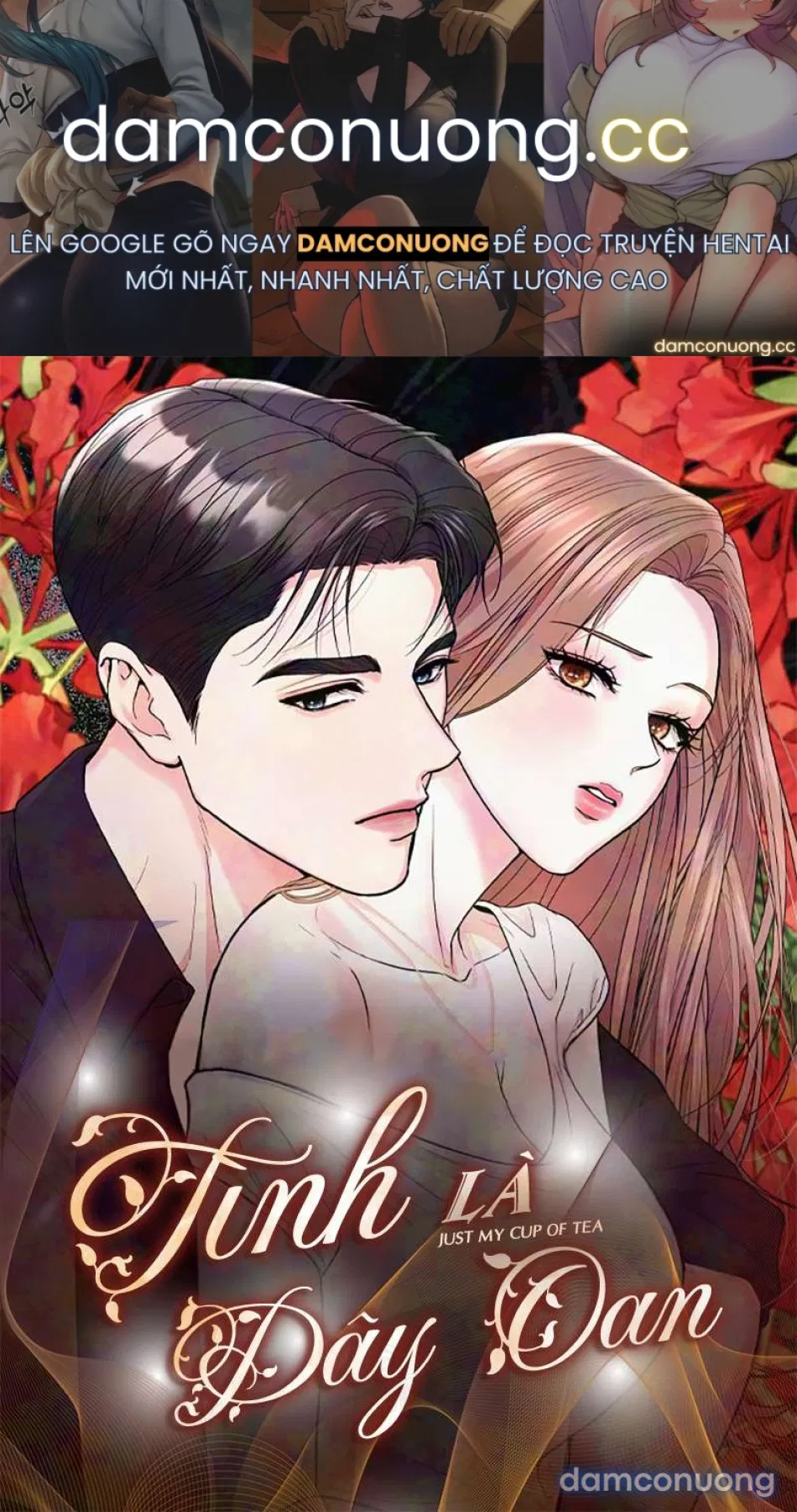 Tình Là Dây Oan 