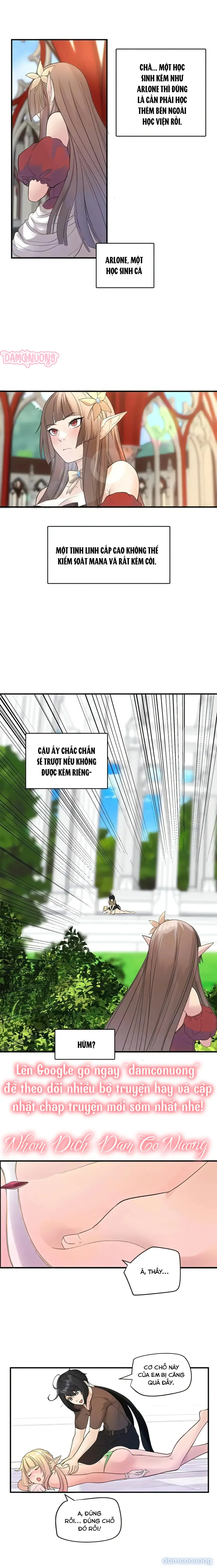 Đồ Chơi Của Các Nữ Linh Tinh 