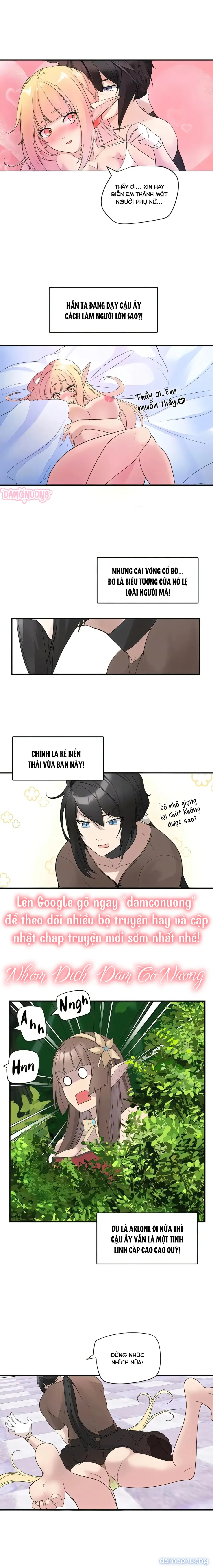 Đồ Chơi Của Các Nữ Linh Tinh 