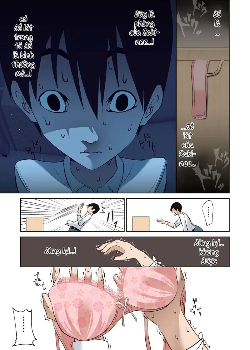 Boku Dake no Saki-nee Datta noni 