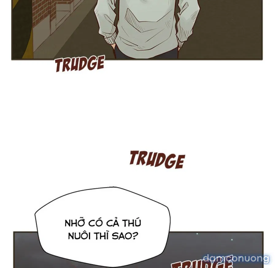 Nhà Trọ 