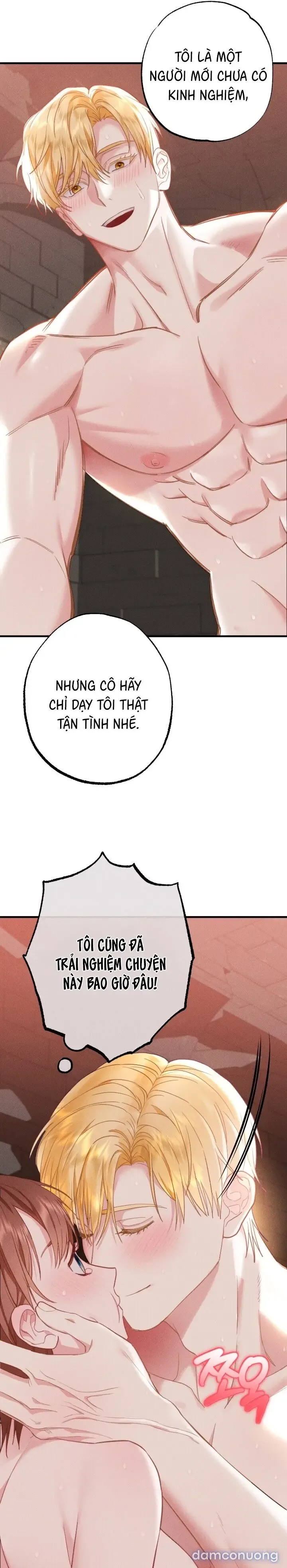 Dũng Sĩ Rơi Vào Cạm Bẫy 