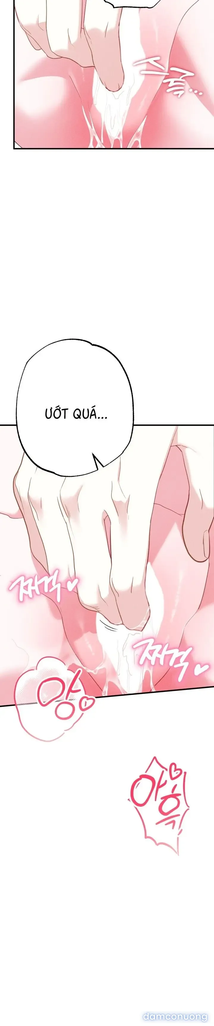 Dũng Sĩ Rơi Vào Cạm Bẫy 
