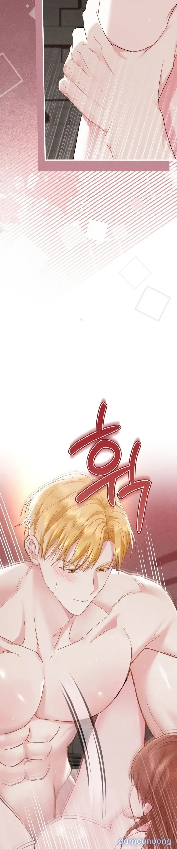 Dũng Sĩ Rơi Vào Cạm Bẫy 