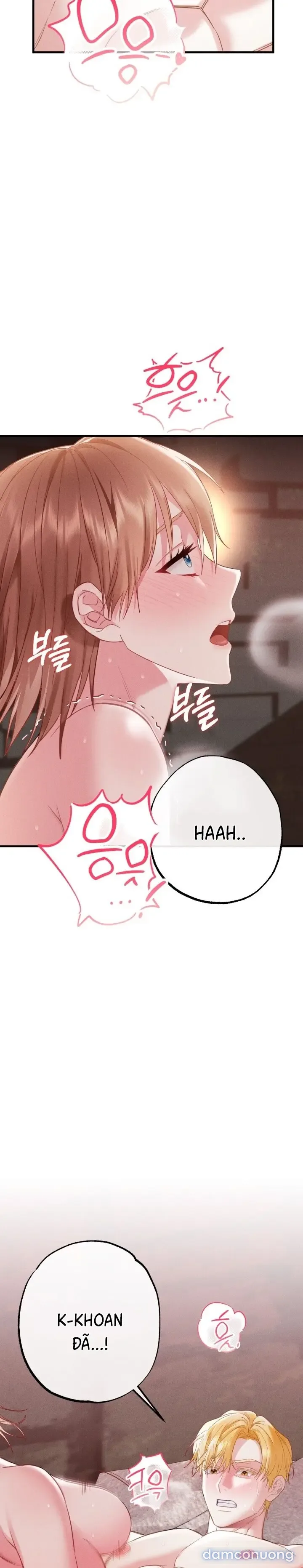 Dũng Sĩ Rơi Vào Cạm Bẫy 
