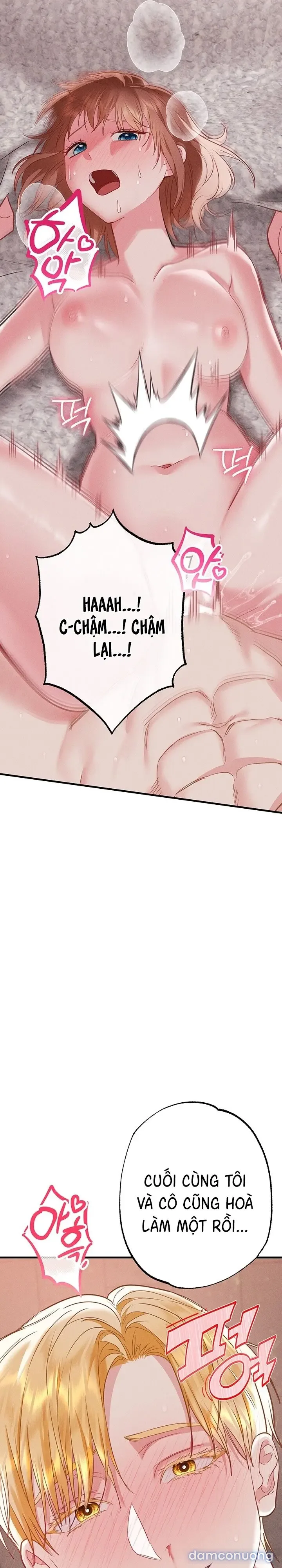 Dũng Sĩ Rơi Vào Cạm Bẫy 