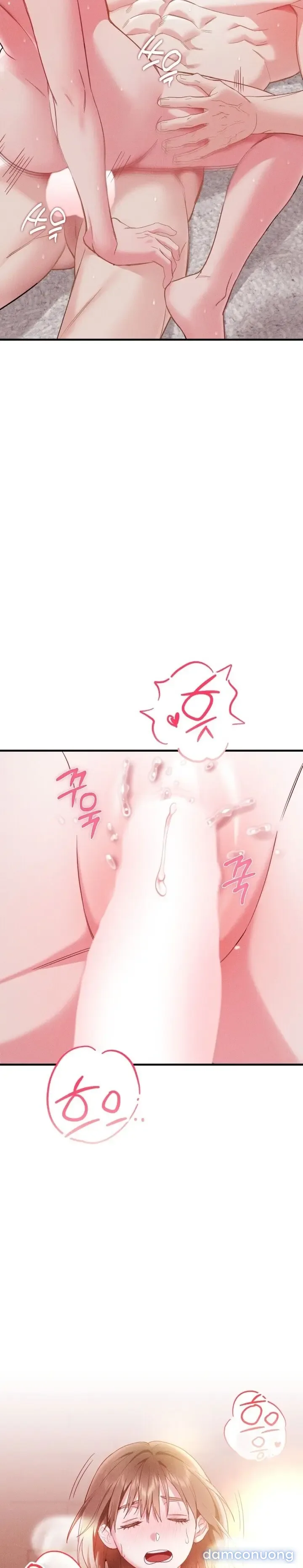 Dũng Sĩ Rơi Vào Cạm Bẫy 