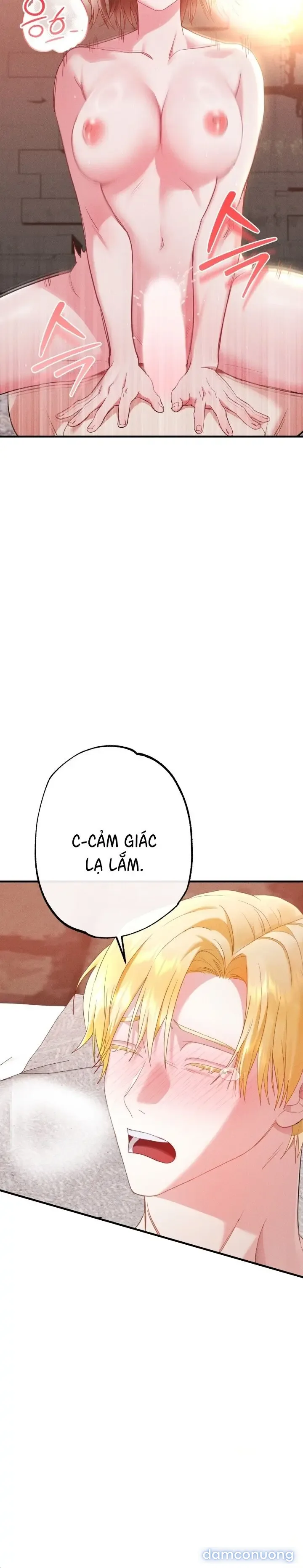 Dũng Sĩ Rơi Vào Cạm Bẫy 
