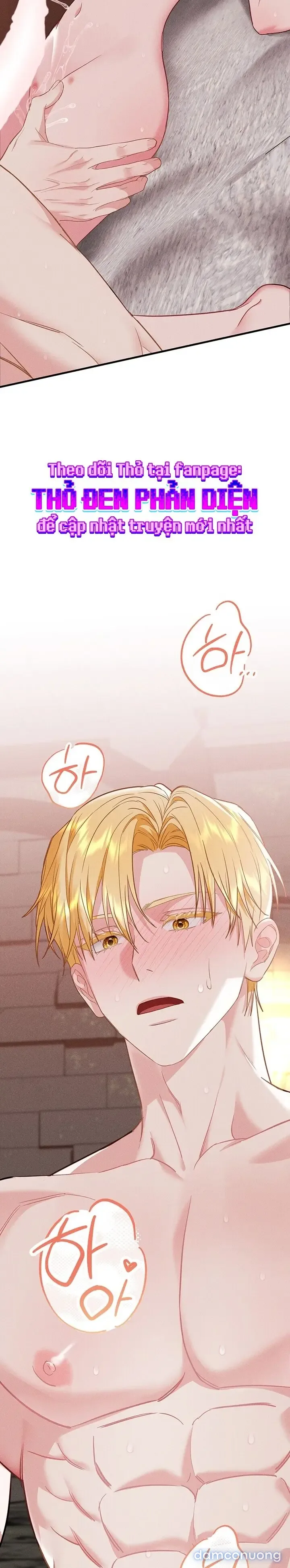 Dũng Sĩ Rơi Vào Cạm Bẫy 