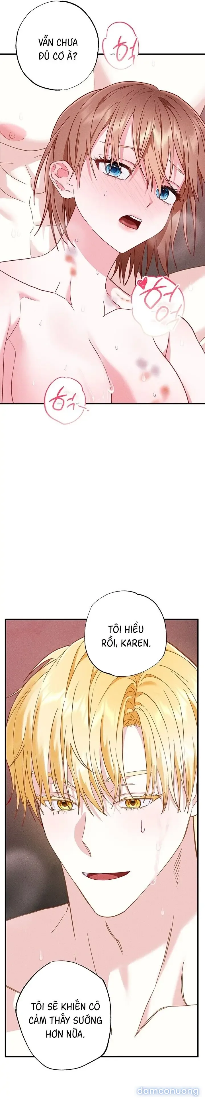 Dũng Sĩ Rơi Vào Cạm Bẫy 