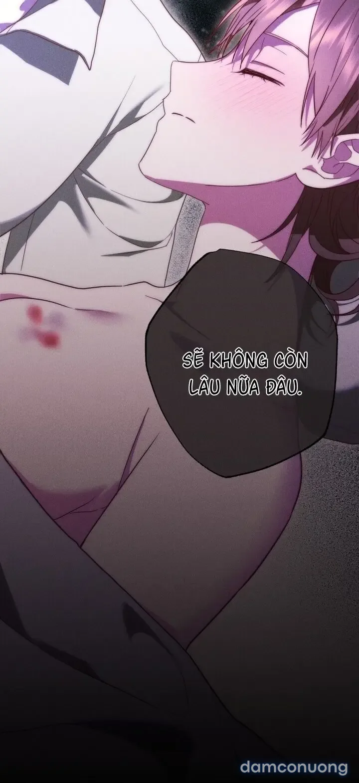 Dũng Sĩ Rơi Vào Cạm Bẫy 