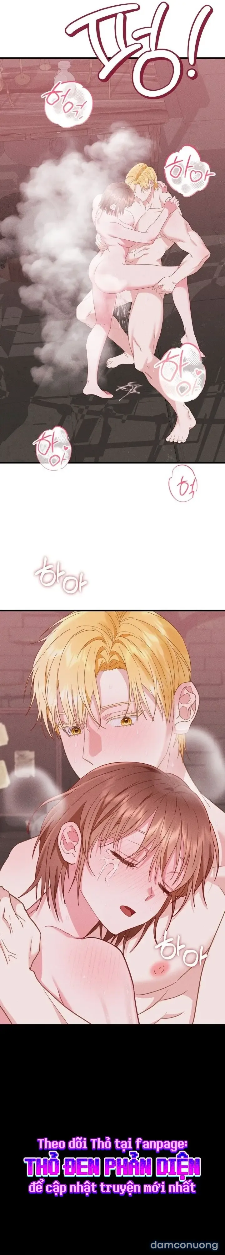 Dũng Sĩ Rơi Vào Cạm Bẫy 