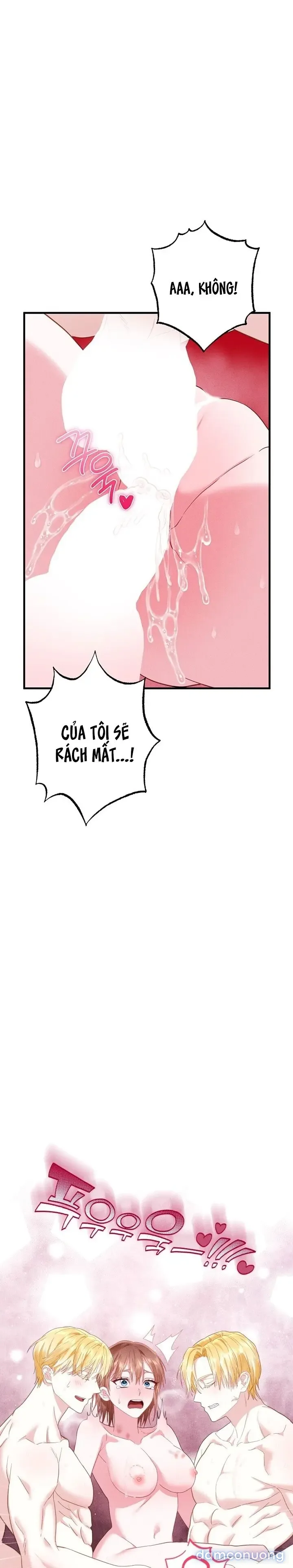 Dũng Sĩ Rơi Vào Cạm Bẫy 