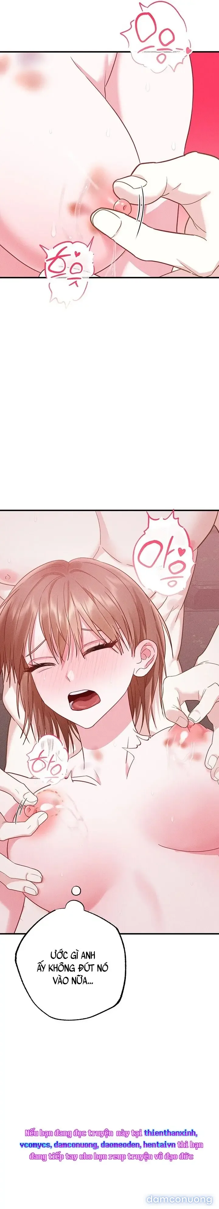 Dũng Sĩ Rơi Vào Cạm Bẫy 
