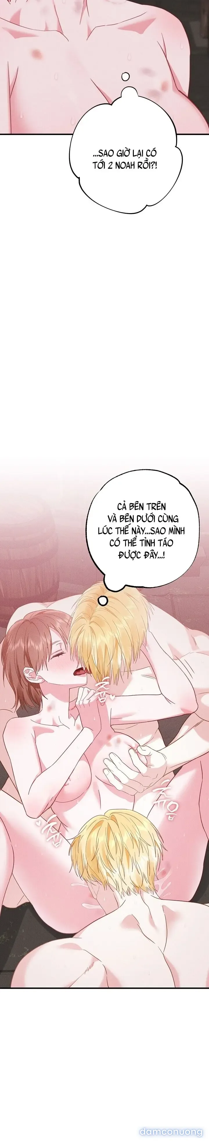 Dũng Sĩ Rơi Vào Cạm Bẫy 