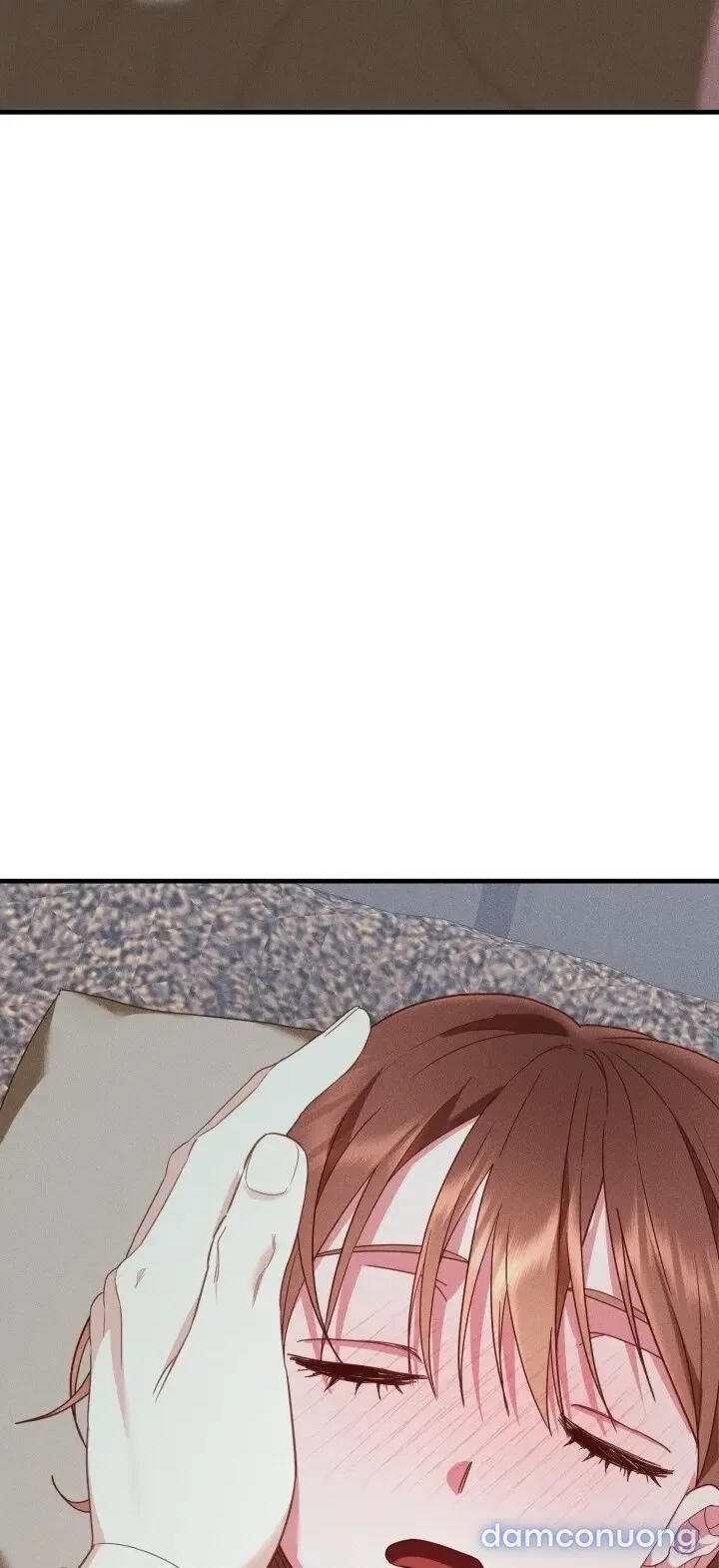 Dũng Sĩ Rơi Vào Cạm Bẫy 