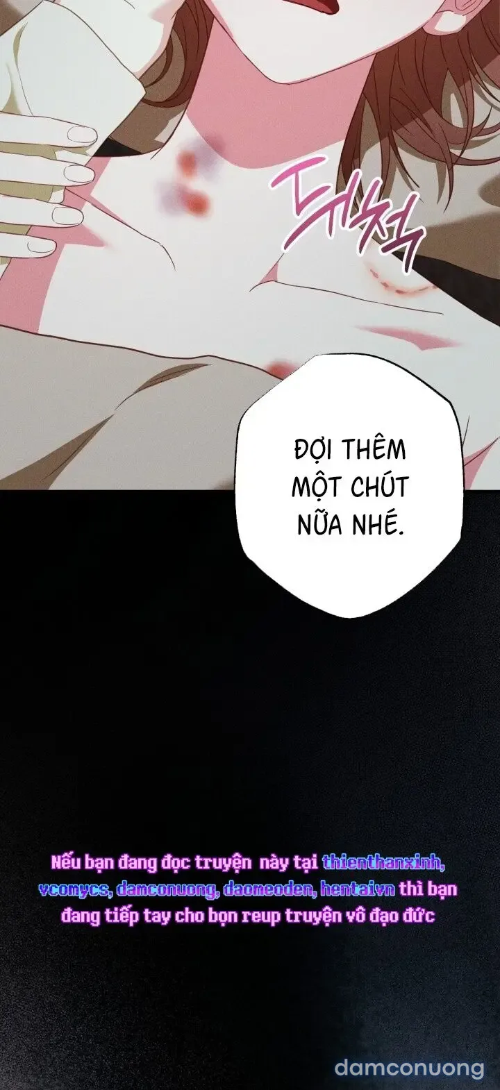Dũng Sĩ Rơi Vào Cạm Bẫy 