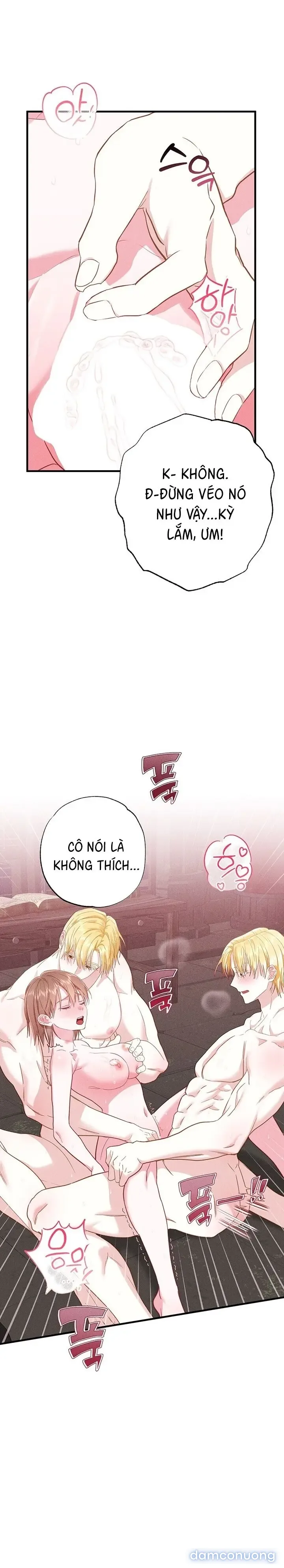Dũng Sĩ Rơi Vào Cạm Bẫy 