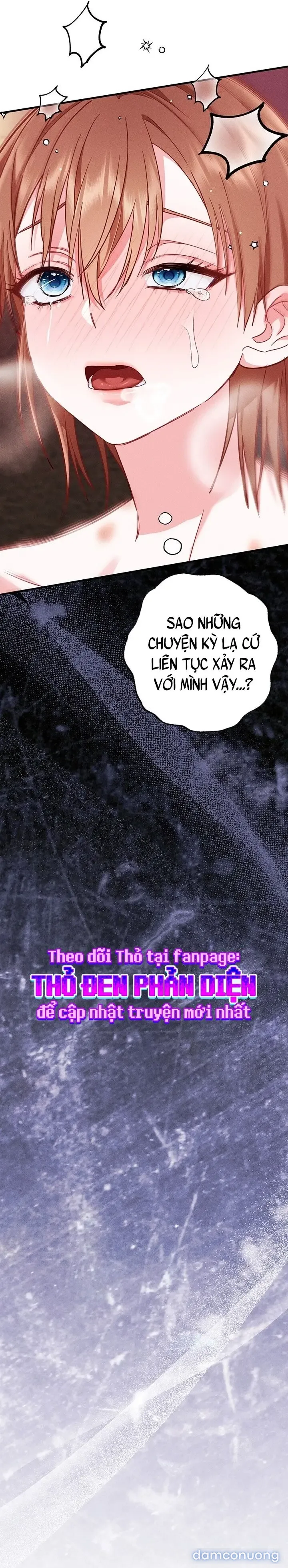 Dũng Sĩ Rơi Vào Cạm Bẫy 