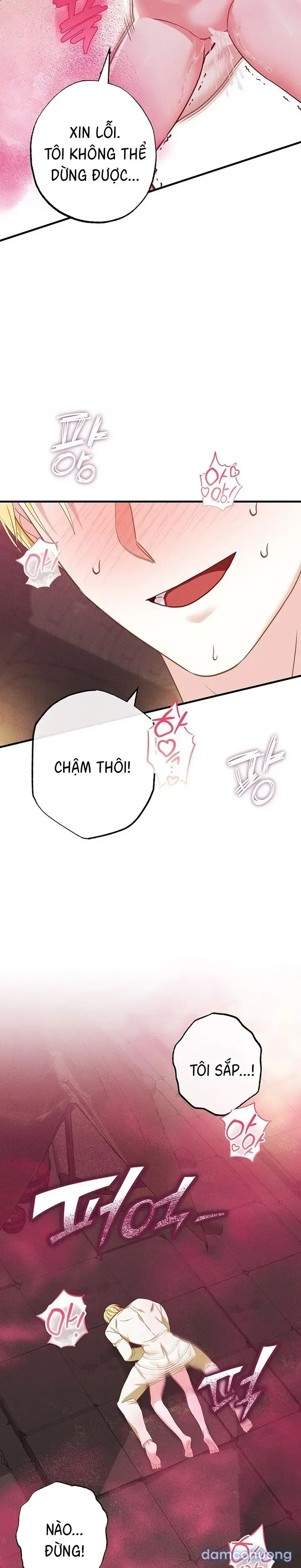 Dũng Sĩ Rơi Vào Cạm Bẫy 