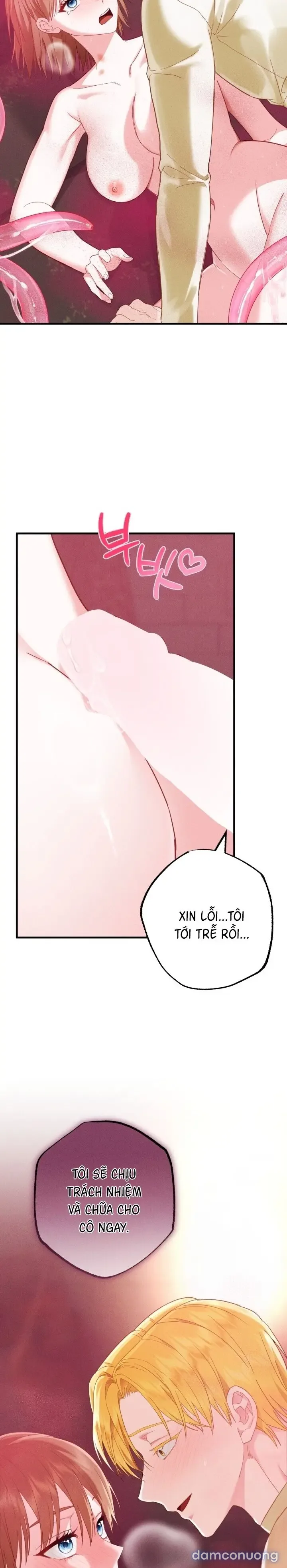 Dũng Sĩ Rơi Vào Cạm Bẫy 